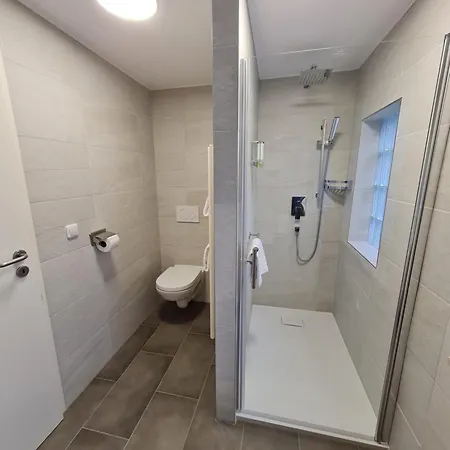 Hotel Loewen 3*